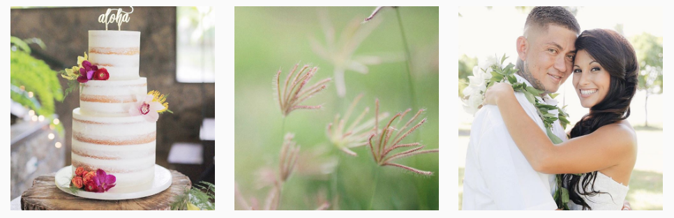 Screen Shot 2016-08-23 at 3.36.41 PM.png